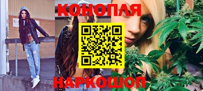 дмт Новодвинск